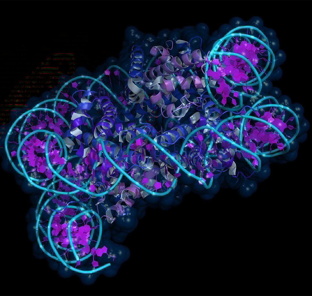 Gene-Expression-Systems_AdobeStock_1640509671080x1024