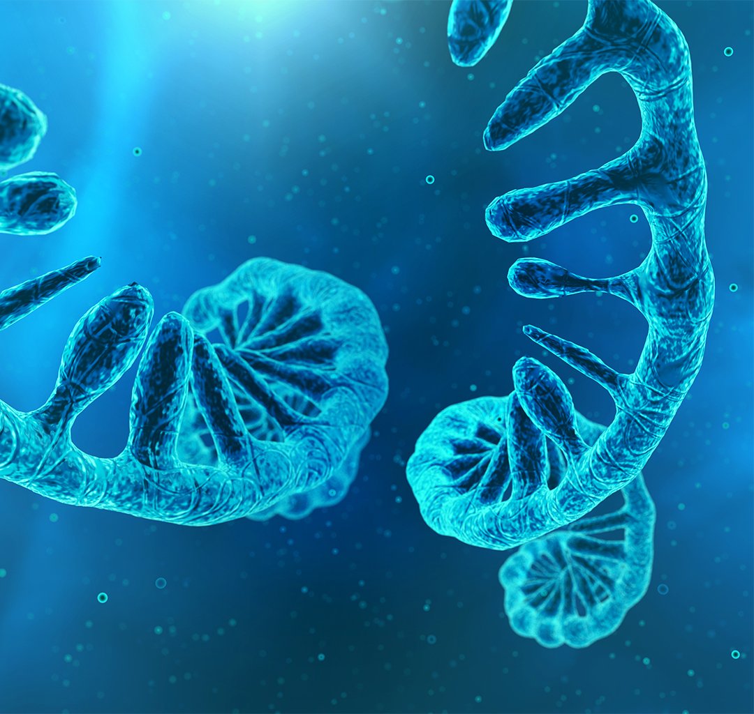 Illustration of two RNA strands against a blue background.
